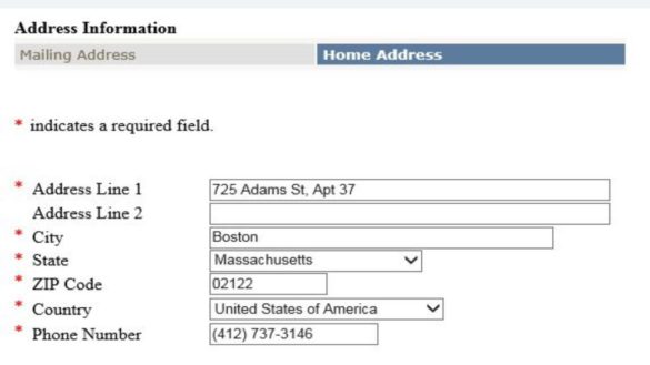 Address line 1 - What do they mean by address line 1 and address line 2?