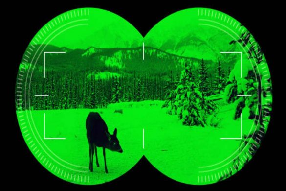 What Benefits are Offered by a Suitable Night Vision Device