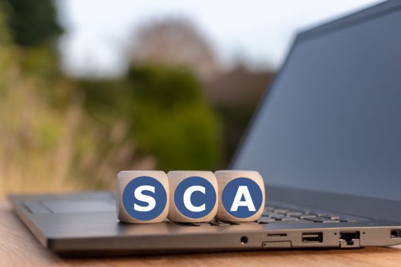 Attention-Grabbing Facts about Software Composition Analysis (SCA)