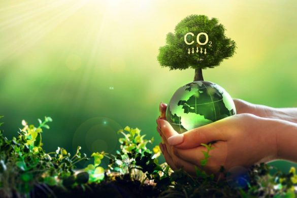 9 Ways to Reduce Your Carbon Footprint