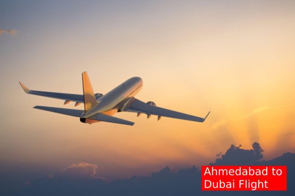 Ahmedabad to Dubai Flight