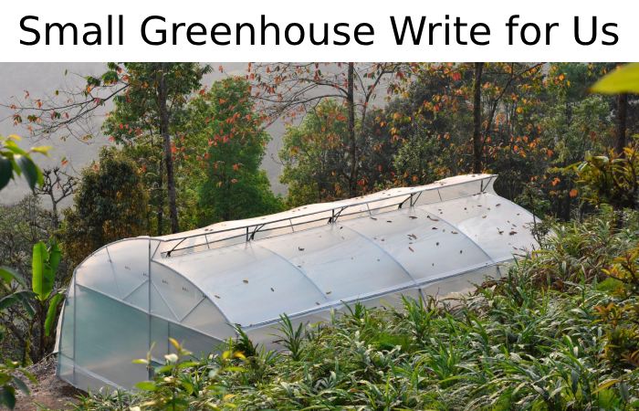 Small Greenhouse Write for Us