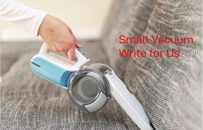 Small Vacuum Write for Us