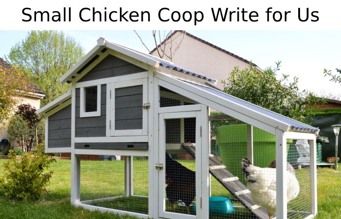 Small Chicken Coop Write for Us