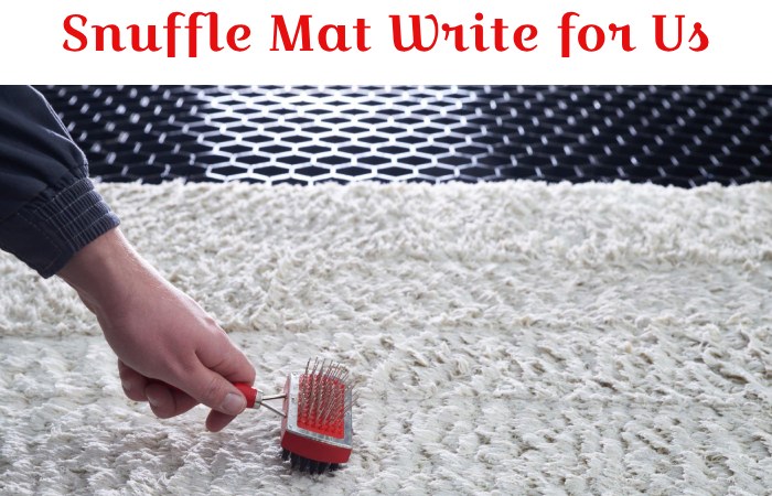 Snuffle Mat Write for Us