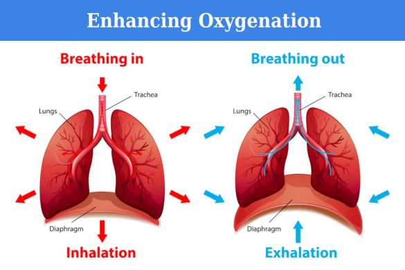 Enhancing Oxygenation