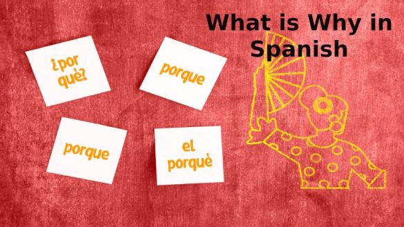 What is Why in Spanish