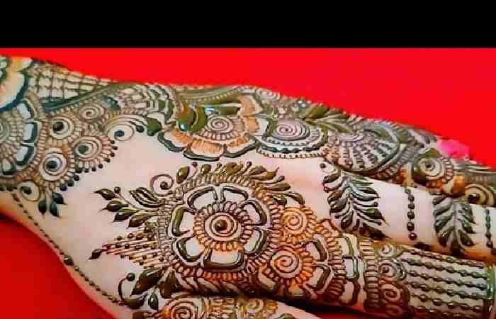 Modern Back Hand Mehndi Design (12)